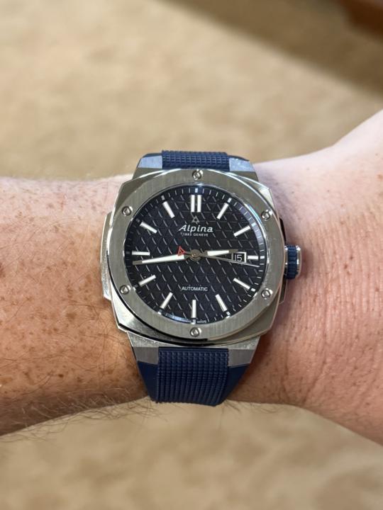 WOTD- Blue Monday June 15th: Alpina Alpiner Extreme