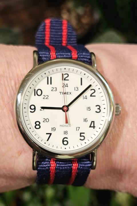 Day #29 of the 30 Day Challenge - Timex Weekender