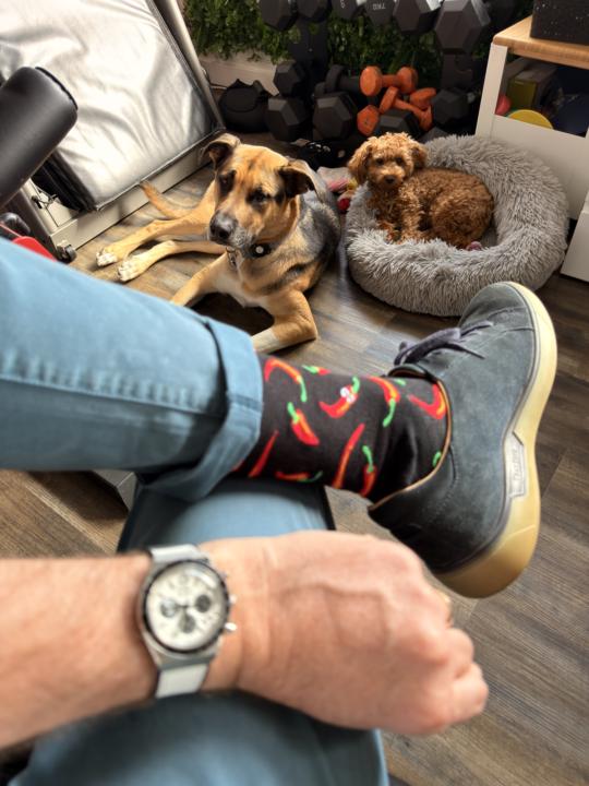 WOTD - Wednesday 21 January