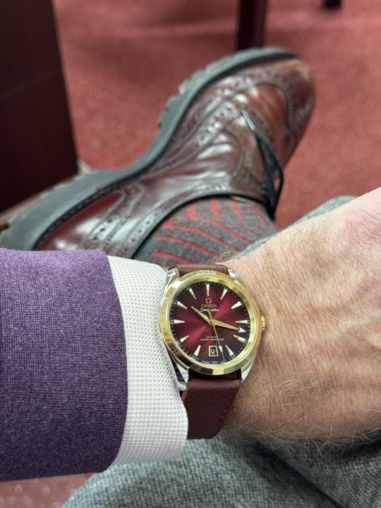 New Addition for the Dutiful Husband 😎