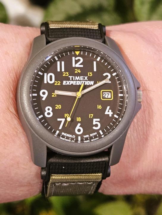 FWF — Timex Expedition Scout