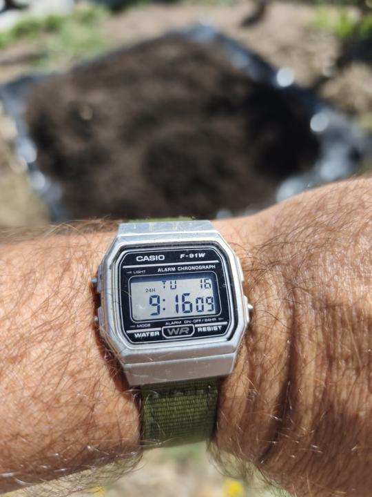 Toolwatch Tuesday - tree planting