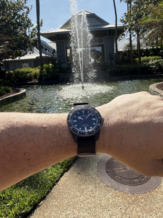 WOTD- Tool Watch Tuesday Cinco de Mayo: Tudor Pelagos FXD