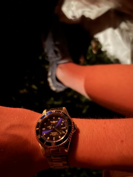 WOTD- Invicta 9204OB