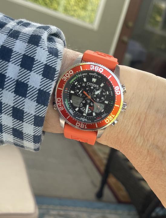 Citizen SailHawk for Sunday