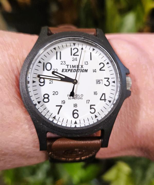 Day #15 of the 30 Day Challenge → Timex Expedition Acadia   