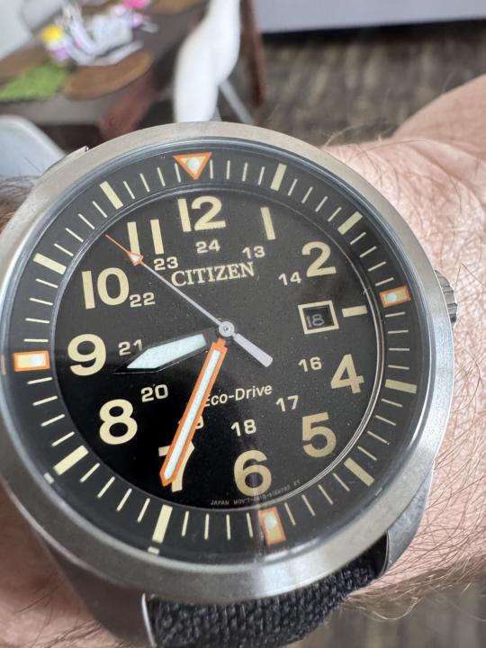 WOTD - Easter Feild Watch Friday