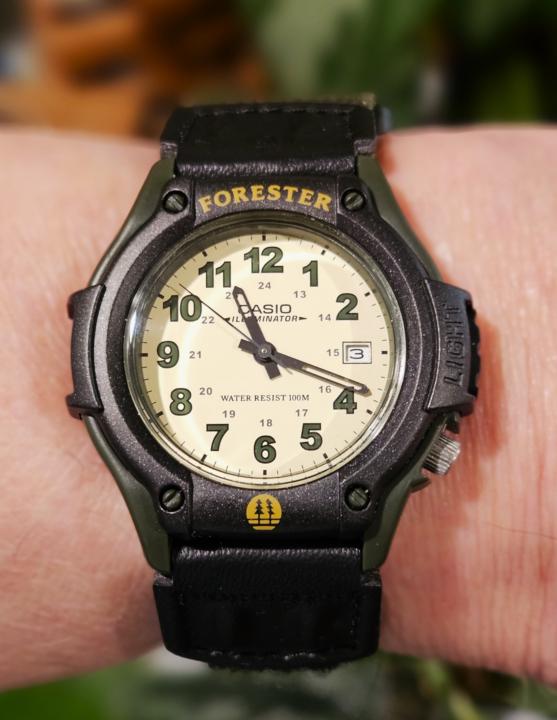 WOTD — Casio Forester Field Watch