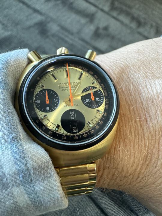 WOTD Citizen Bullhead