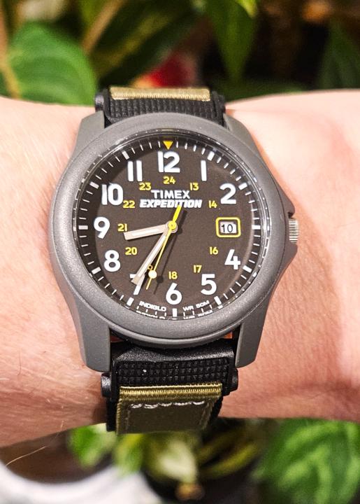 WOTD — Timex Expedition Scout 
