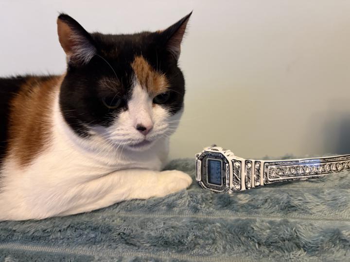 Showing off my new G-Shock: Day 2