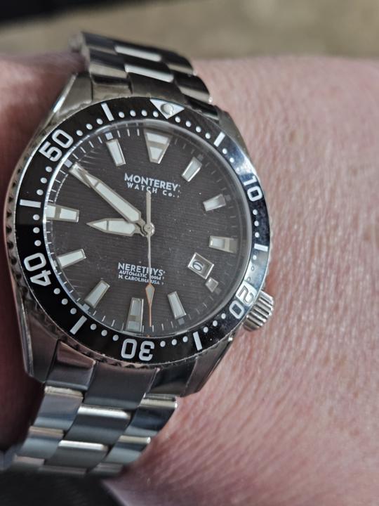 Feel Free Friday with Monterey 