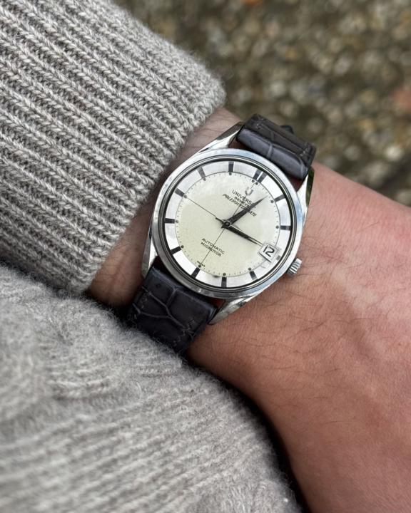 Polerouter on grey alligator