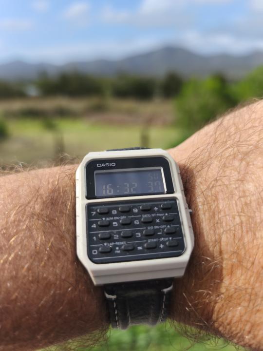 Something fun to end the weekend 