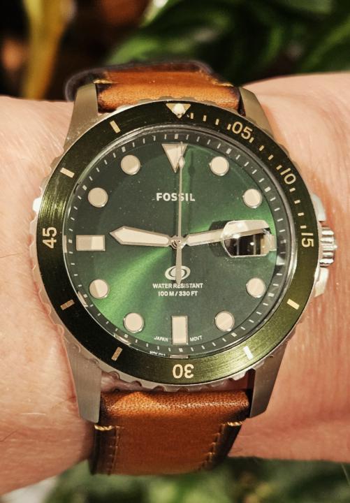 WOTD — Fossil Green 