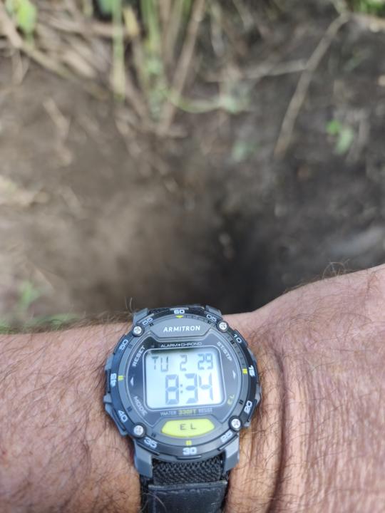 WOTD- ARMITRON 
