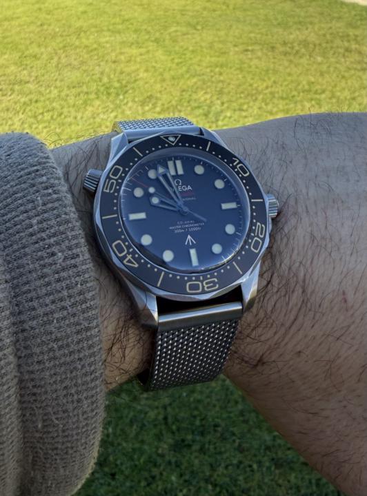 WOTD: Omega Seamaster