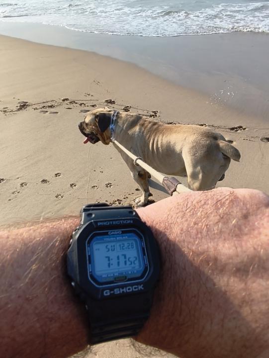 WOTD - Casio G-shock 5600 solar