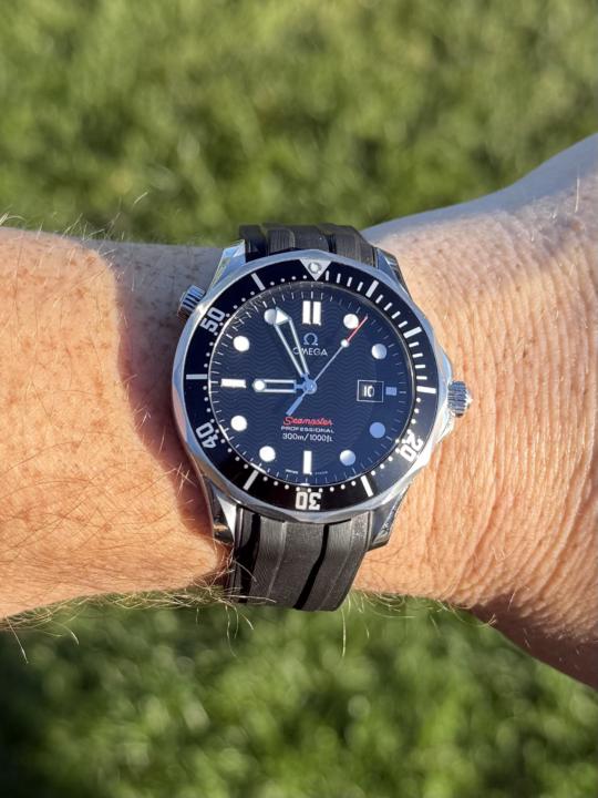WOTD- Friday October 10th: Omega Seamaster Professional 300