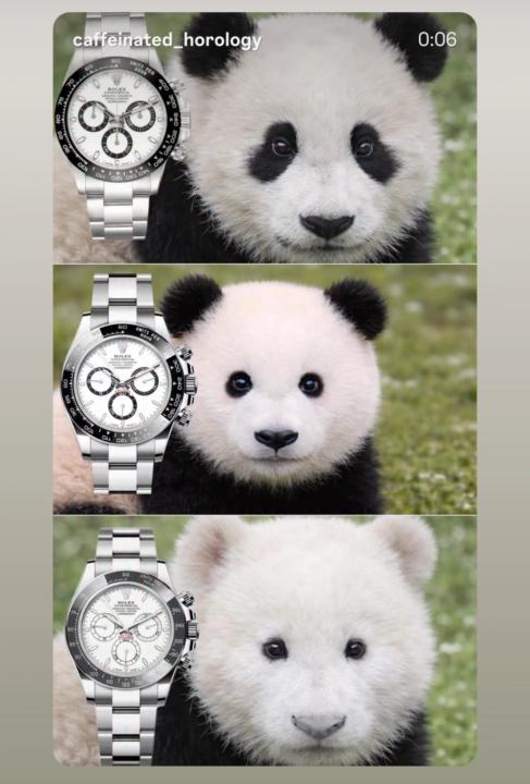W&W26 - Rolex 🐼
