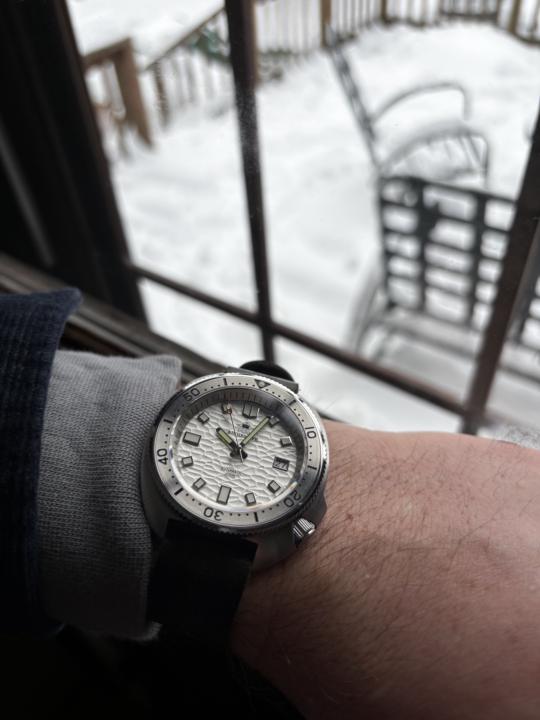 The Frigid Willard felt like the right choice