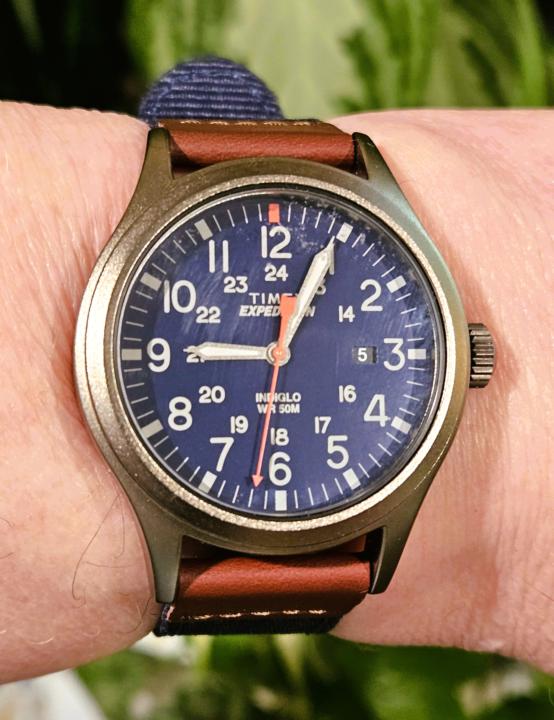 Field Watch Friday — Timex Expedition