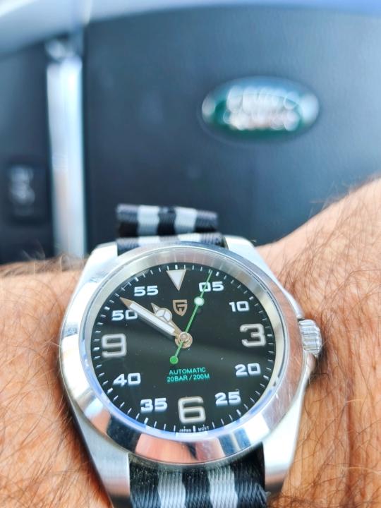 Day 10 #30 day challenge - Field watch Friday 