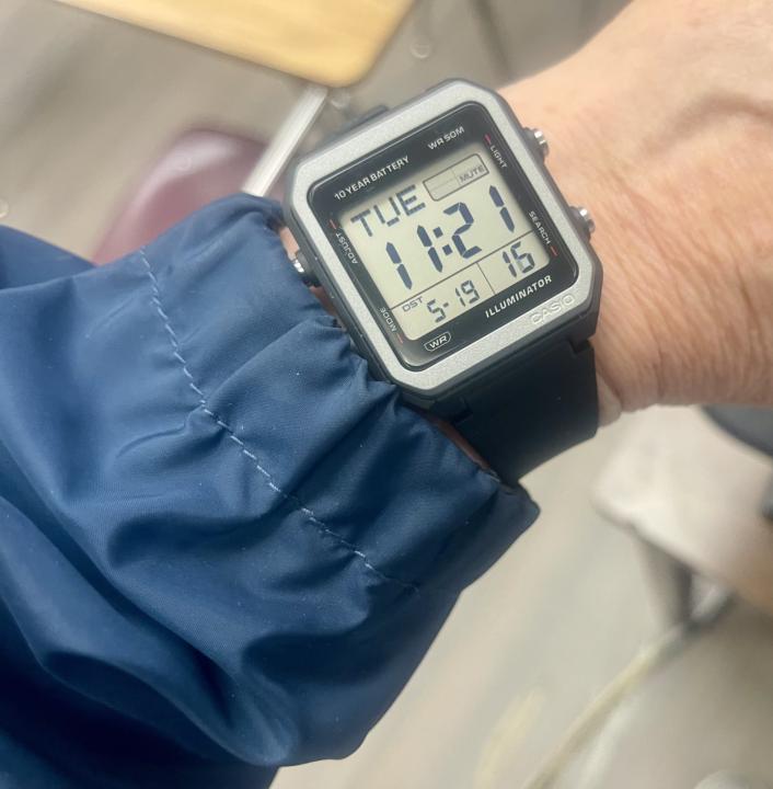Casio W221