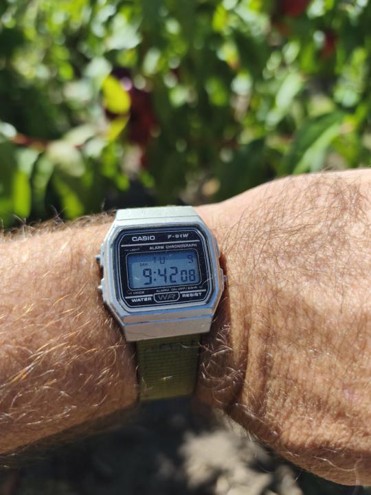 Not toolwatch Tuesday, just gardening 