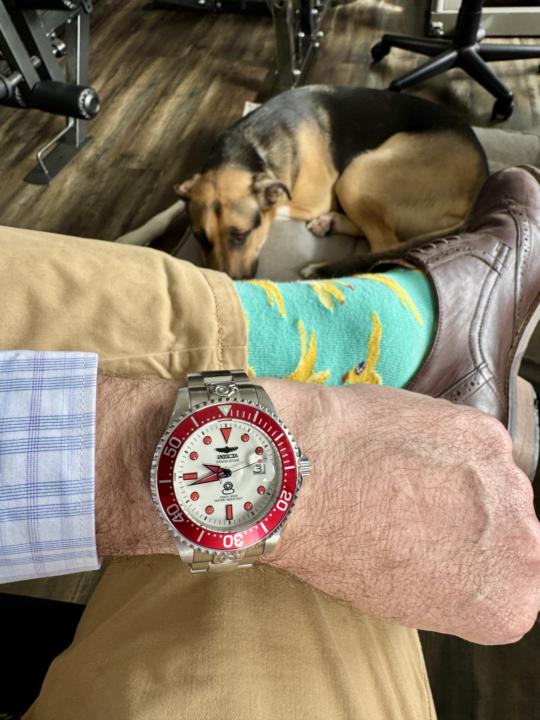 WOTD - Invicta Grand Diver (Model ZG-24335)