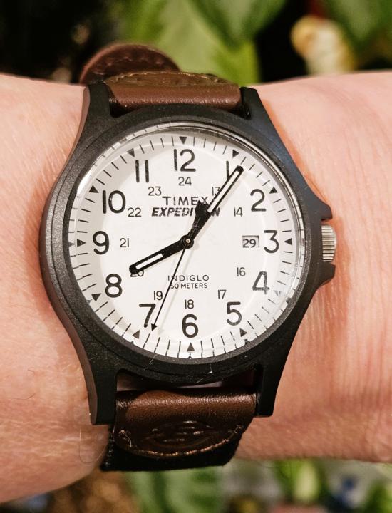 Field Watch Friday — Timex Expedition Acadia