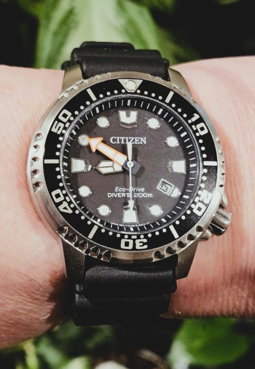 Sassy Saturday Citizen Promaster