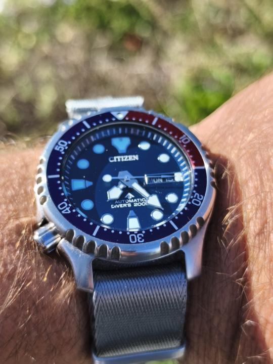 Blue Monday - Citizen promaster aqualand 