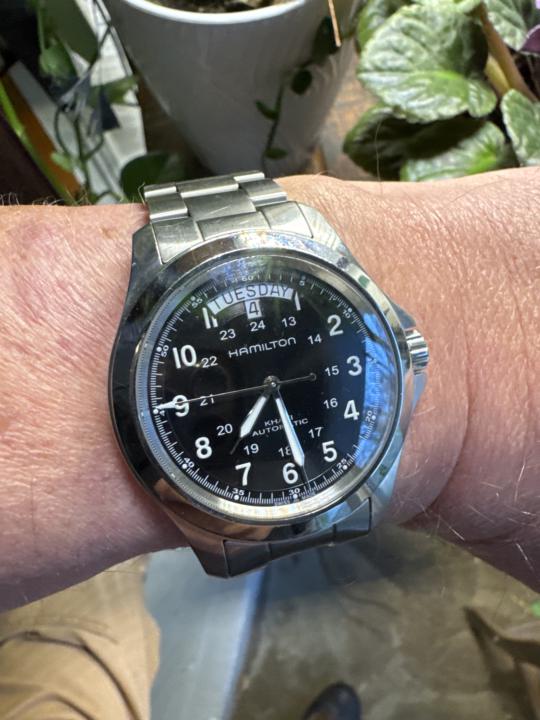 Hamilton Khaki King