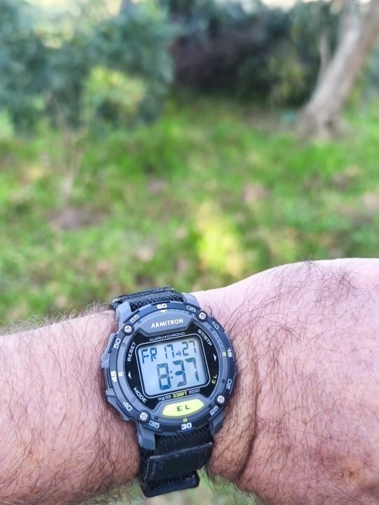 In a field watch day