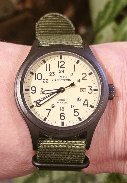 Day #03 of the 30 Day Challenge → FWF — Timex Expedition Scout 40mm