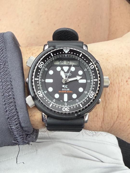 WOTD- Saturday January 10th: Seiko Arnie 