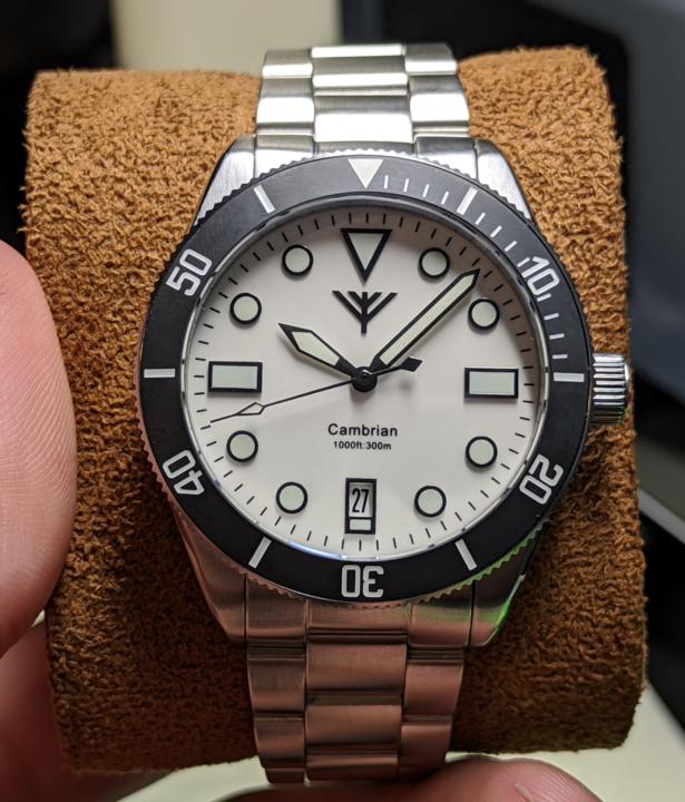 WOTD: Forteller Cambrian