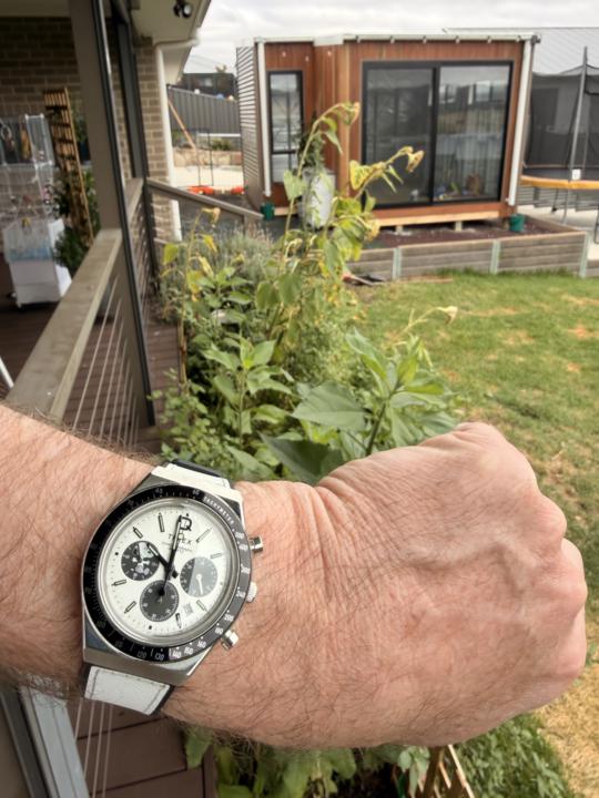 WOTD - Sunday 18 January