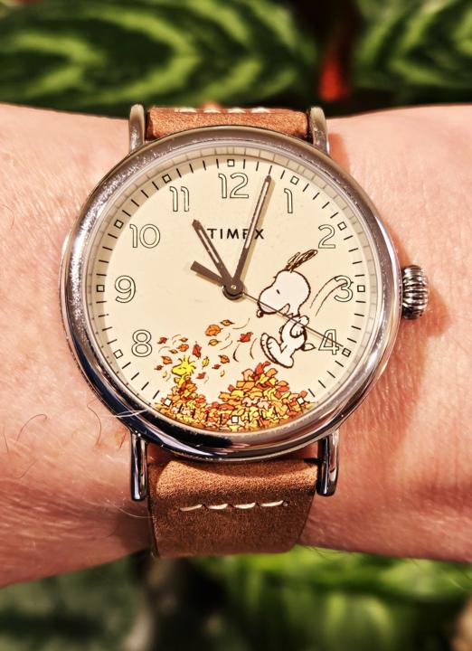 WOTD — Snoopy Superhero Sunday! 