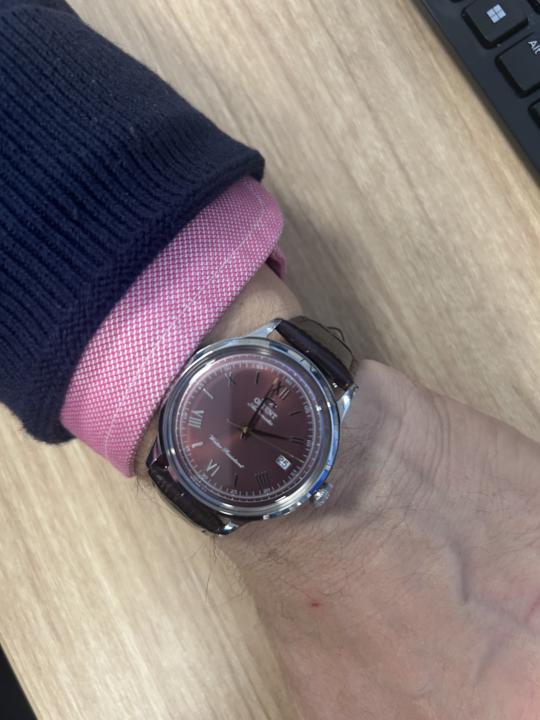 WOTD Orient Bambino