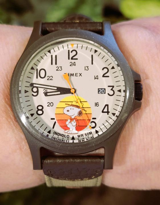 FWF — Timex Peanuts Snoopy Expedition Acadia