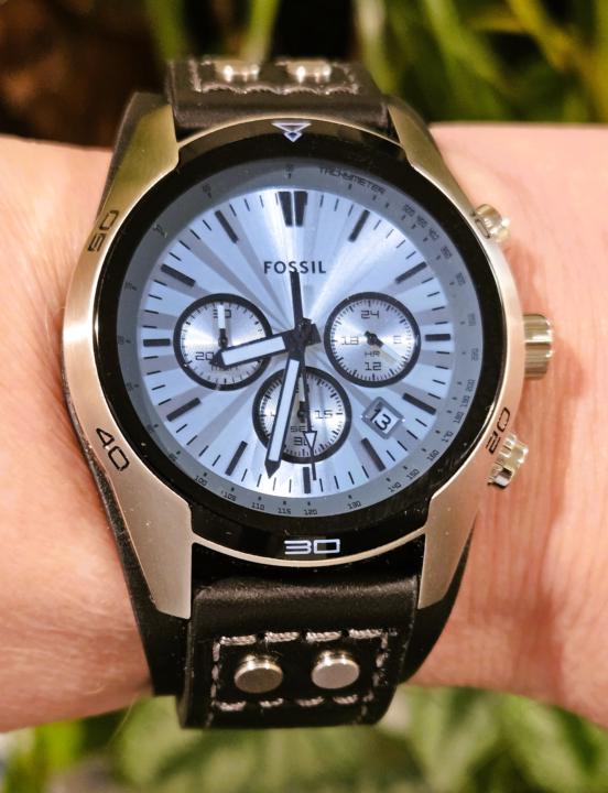 Day #13 of the 30 Day Challenge →   Fossil Coachman