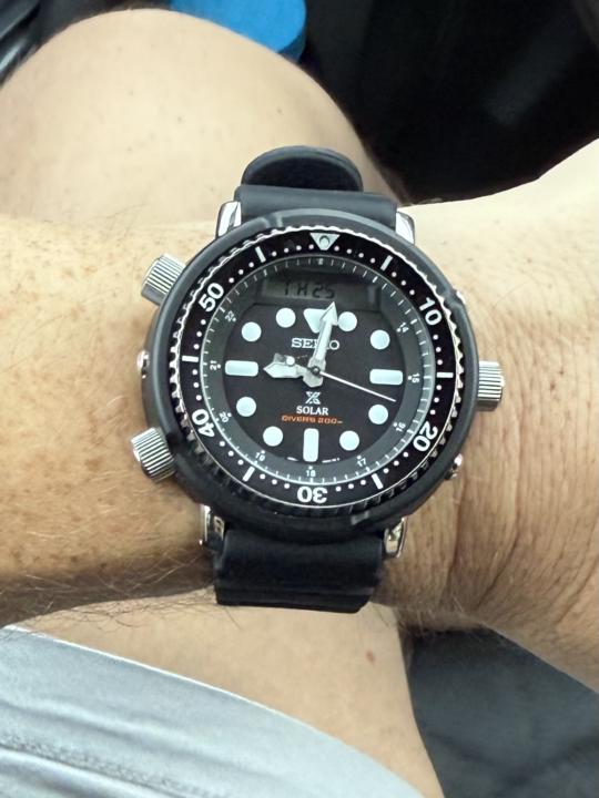 WOTD- Throwback Thursday September 25th: Seiko Arnie SNJ025