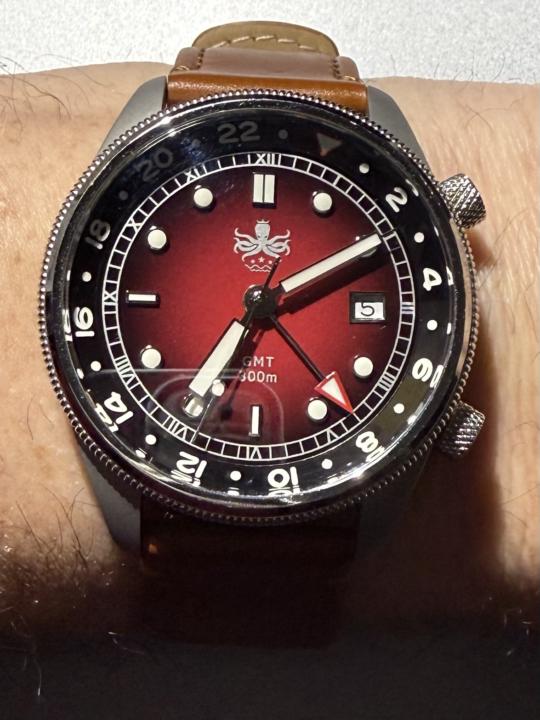 New addition to the family 