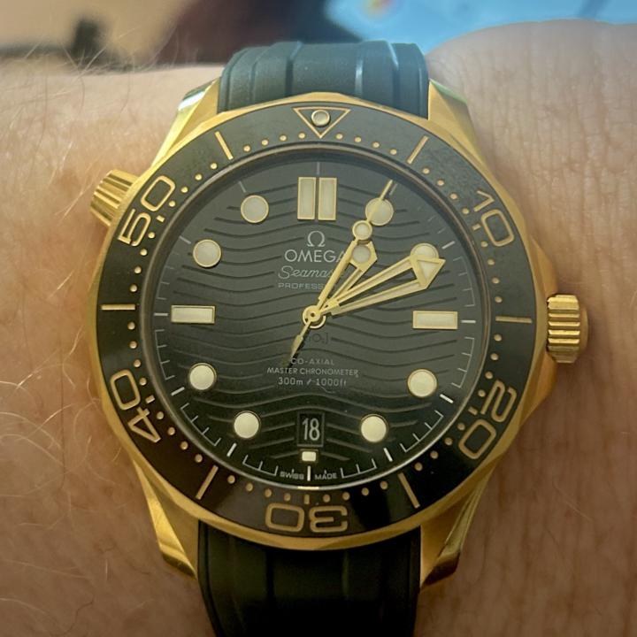 WOTD 9/18 - VSF Seamaster Aqua Terra 300