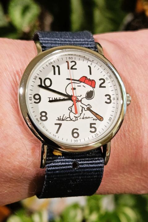 Superhero Sunday — Batter Up! It's Snoopy Baseball