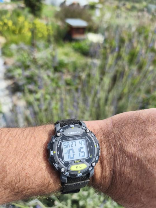Spring is here!