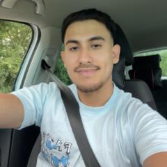 Mahdi Alavi