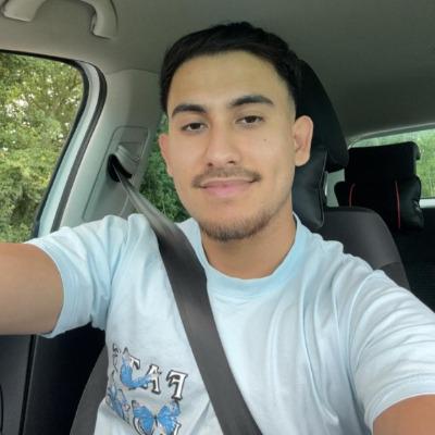 Mahdi Alavi